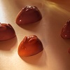 12069 CW Модуль для шоколада