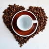 Блюдце Millecolori Hand Painted Brown 14,5 см для серий "Verona/Torino/Bari/Palermo"