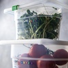241480 Гастроємність з поліпропілену 1/4, 265х162 мм h 150 мм, 3,8 л серія "Gastronorm"