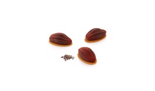 CACAO 30 Форма силіконова "Какао зерна" 67x37 h 26 mm + каттер
