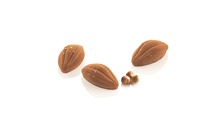 CACAO XS 12 Форма силіконова