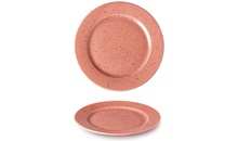 Тарелка TERRACOTTA 28 см серия "Life style"