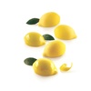 LIMONE&LIME 30 Форма силіконова 55 x 38 h27 mm, 30 ml x 15 (форма + каттер)