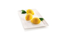Силиконовая форма для десертов DELIZIA AL LIMONE