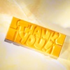 Форма для шоколада "thank you" 118x50x8 мм, 1х4/40  г.